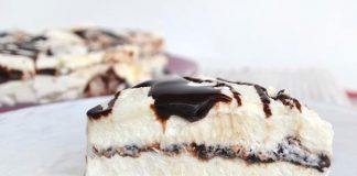 Gâteau glacé au chocolat avec Thermomix